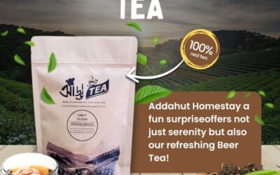 Best Ways to Reach Dawaipani from Siliguri and Darjeeling