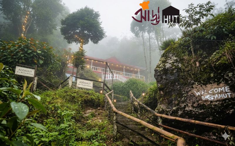 Planning a Trip to Dawaipani? Here’s How to Reach from Siliguri & Darjeeling