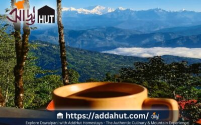 Offbeat Dawaipani: 100 Hidden Hamlets, Forest Trails and Tea-Scented Escapes